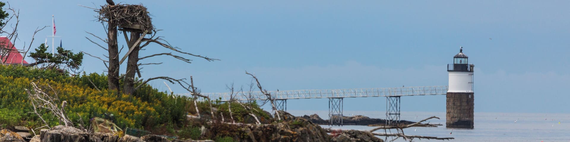Located off Ocean Point near East Boothbay ME, I spied an egret nesting near the light and though this would be an interesting shot. 500mm, f/6.3, ISO 800 @ 1/5000. Taken from Ocean Point Walk.