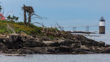 Located off Ocean Point near East Boothbay ME, I spied an egret nesting near the light and though this would be an interesting shot. 500mm, f/6.3, ISO 800 @ 1/5000. Taken from Ocean Point Walk.