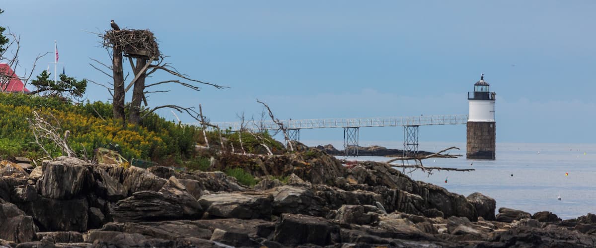 Located off Ocean Point near East Boothbay ME, I spied an egret nesting near the light and though this would be an interesting shot. 500mm, f/6.3, ISO 800 @ 1/5000. Taken from Ocean Point Walk.