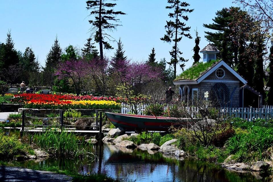 Un bateau sur un étang paisible, entouré de fleurs aux couleurs vives et de grands arbres.