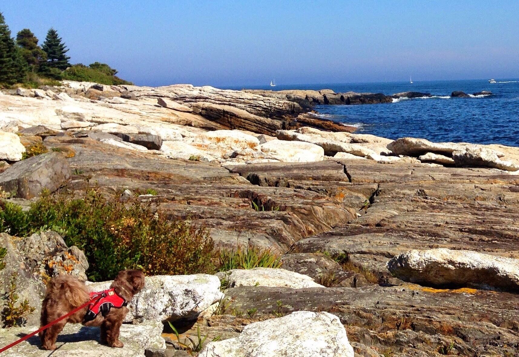 Ocean point is a beautiful area on the Midcoast. Great area to watch the windjammer a arrive