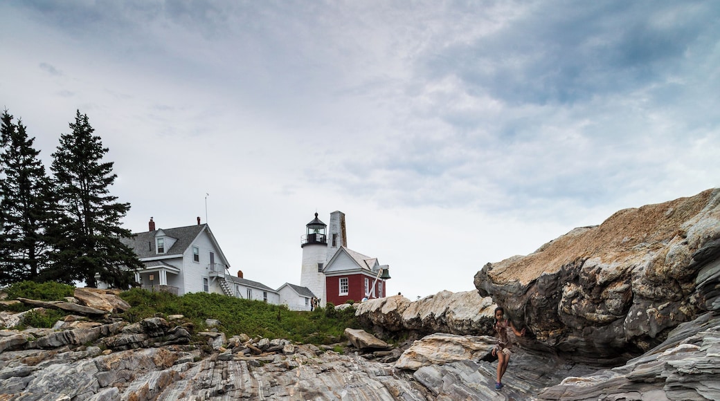 Focus-stacked image (4 images) taken from the rocks surround Pemaquid Point Light. I was intrigued by the striations on the rocks that point at the subject of the picture reflected in the shallow pool. Low, wide angle.