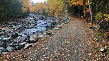 Took this picture along the Narrow Gauge Pathway on 15Oct2019. 12 mile ride along the old narrow gauge railbed.