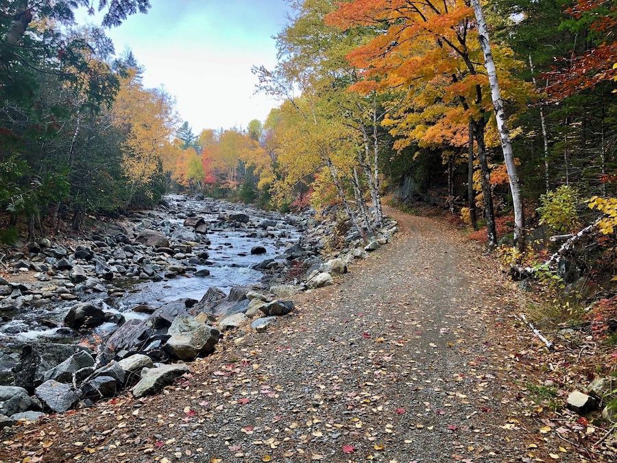 Took this picture along the Narrow Gauge Pathway on 15Oct2019. 12 mile ride along the old narrow gauge railbed.