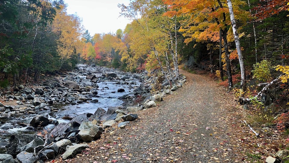 A rocky stream with a gravel path surrounded by autumn-colored trees.