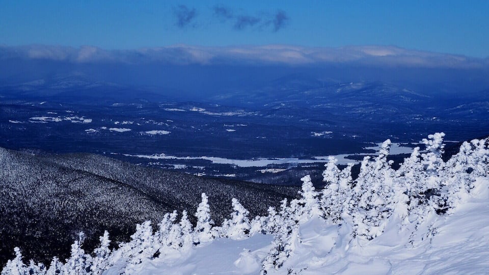 A snowy mountain landscape with dense forests and distant snow-covered hills.