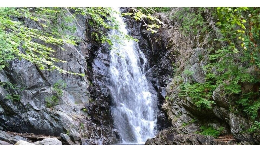 A pleasant hike into Poplar Stream Falls Hut sling the Maine Huts & Trails network. #hiking