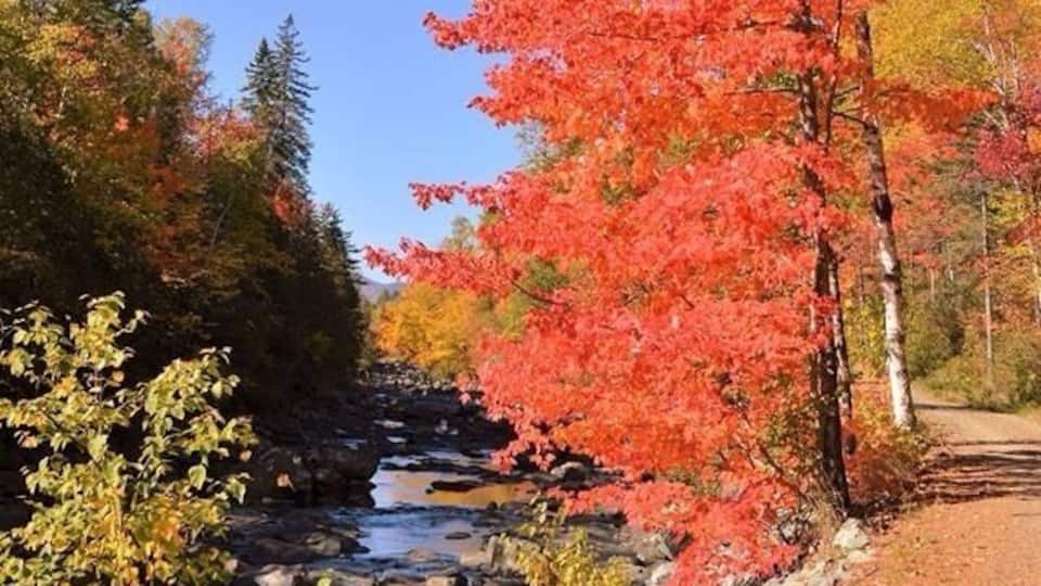 A river with red foliage, a rocky path, and trees in autumn colors.