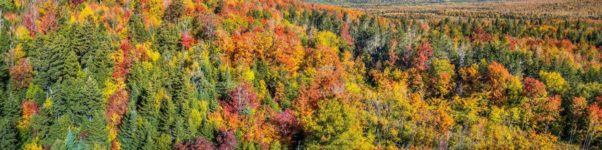 Beautiful autumn mountainside in the Carrabassett Valley - Maine