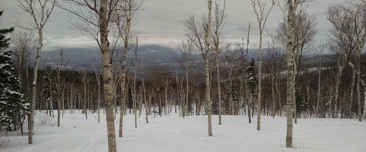 Brackett basin rocks.