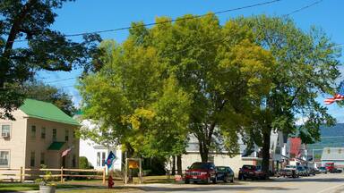 Fryeburg showing a coastal town