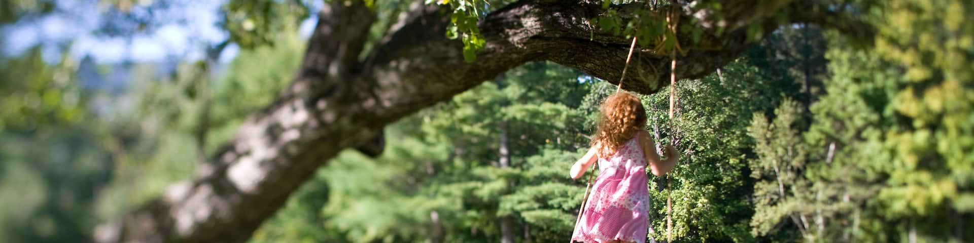 A child on a swing in a park with trees and grass.