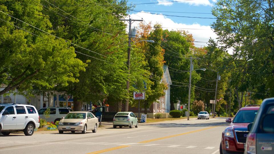 A street lined with trees and parked cars.