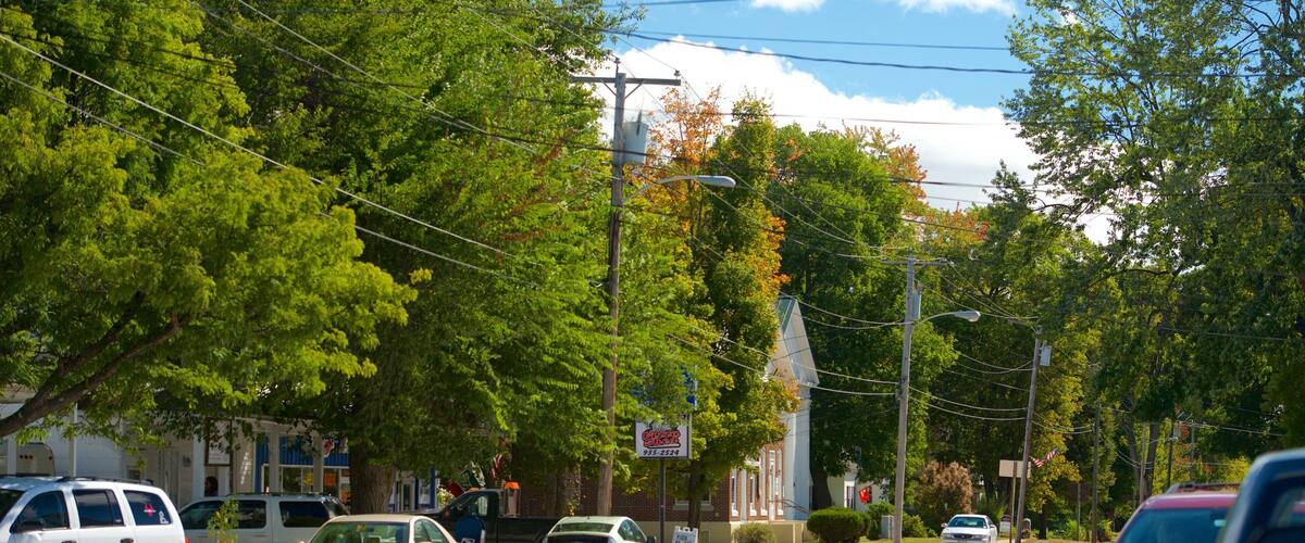 A street lined with trees and parked cars.