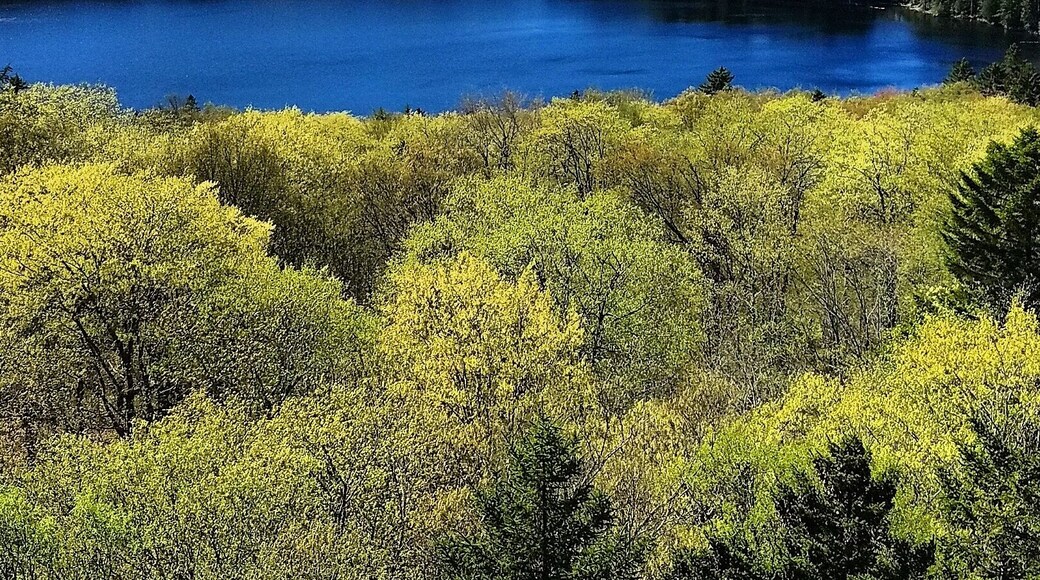 One of the many hikes in the Moosehead Lake area. It starts out flat and easy as you go around the west of Little Moose Pond but then climbs quickly to give you views of the pond, Big Moose Mountain and Moosehead Lake. 4 mile hike, total ascent 1200 ft.