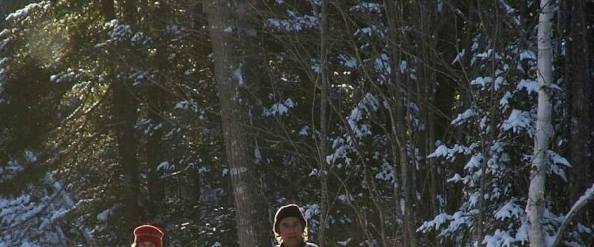 Maine dog sled racing.
#snow
#winterwonder