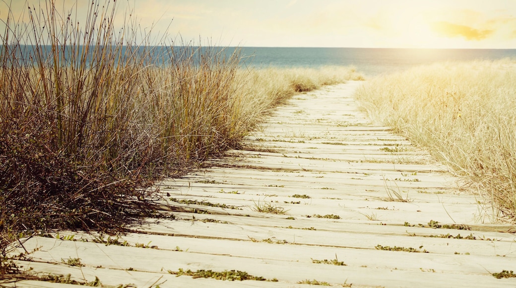 Walkway to beach and sunny sky