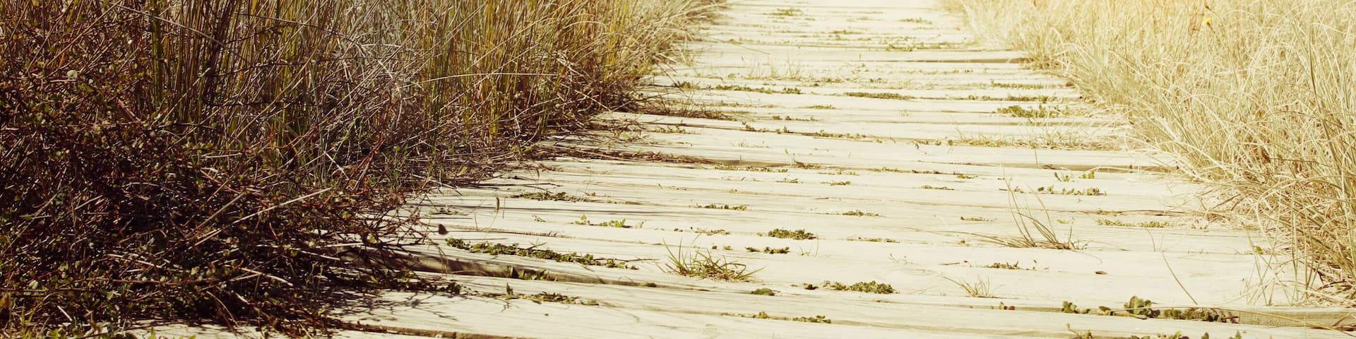 Walkway to beach and sunny sky
