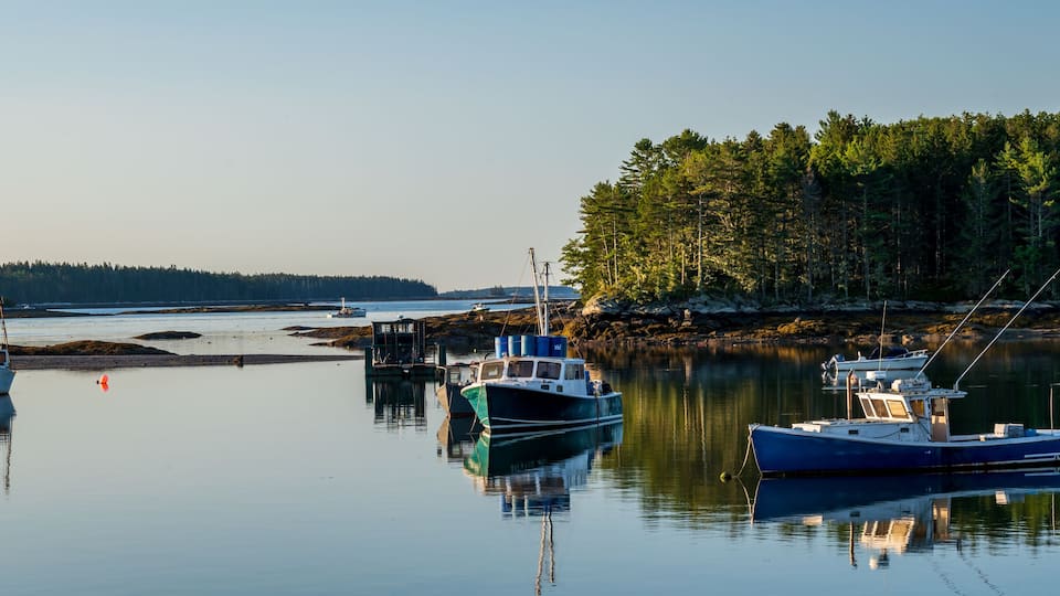 Maine Lobster Boats Moored in a Harbour of Calm Water with a Floating Deck Full of Lobster Traps