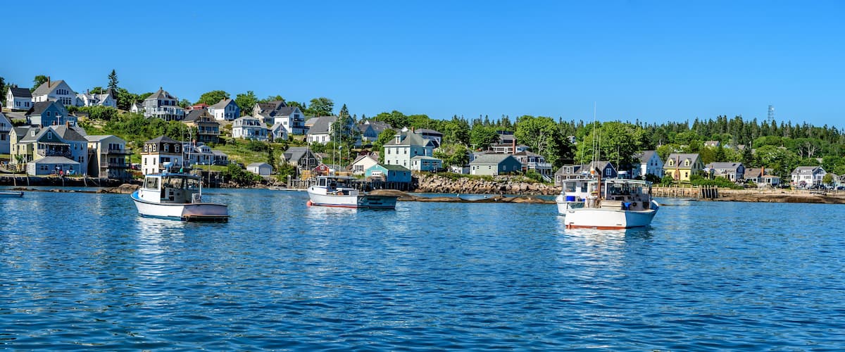A harbor with several boats docked, surrounded by a residential area with houses and trees.