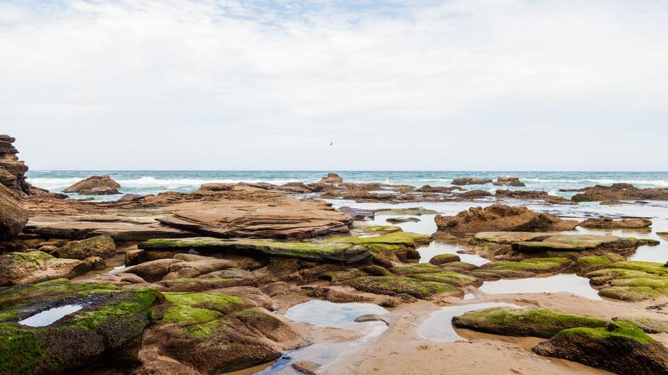 A rocky shoreline with tide pools and waves crashing against the rocks.