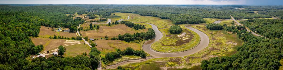 Newcastle Conservation Area