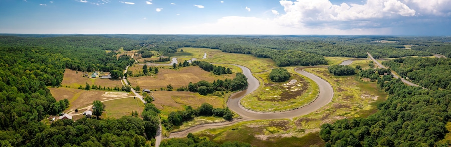 Newcastle Conservation Area