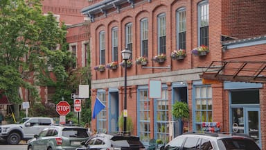 Picturesque cityscape skyline view of Portland, Maine with yacht marina, sailing boats, historic building facades, streets and urban living coast fisher atmosphere