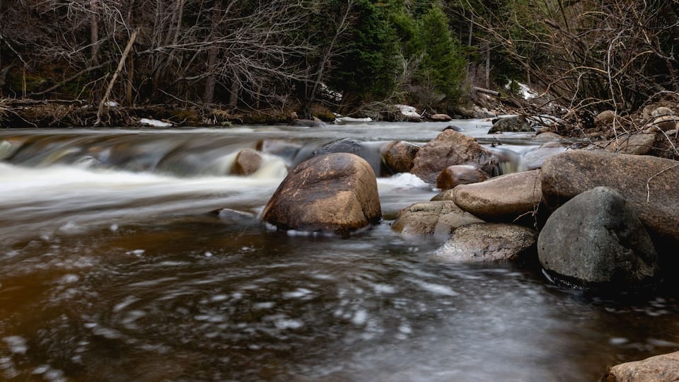 A flowing river with large rocks, surrounded by trees and a snowy bank.
