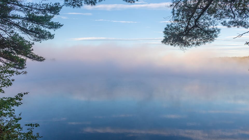 A lake surrounded by trees with a misty atmosphere.