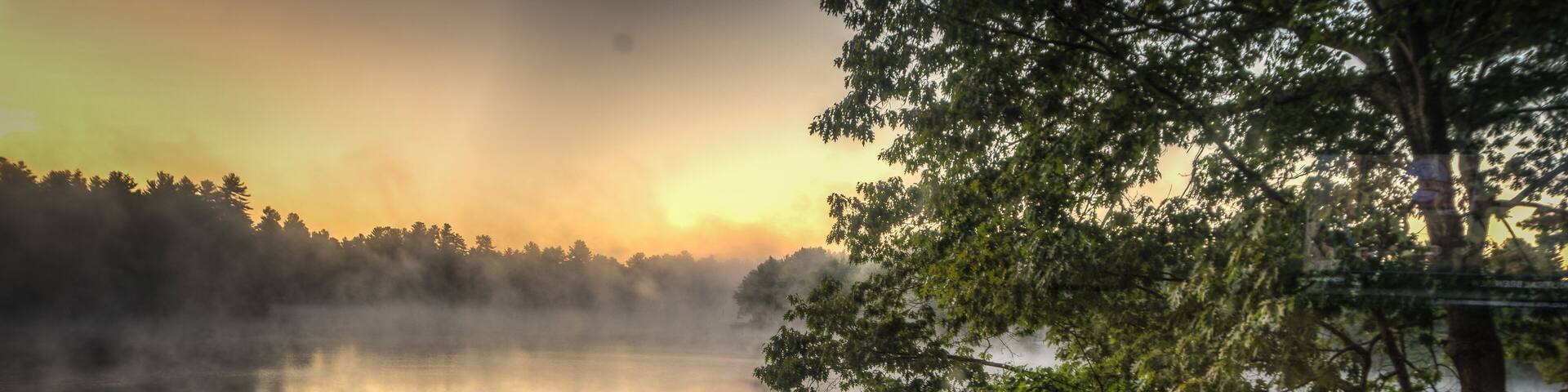 Foggy pond