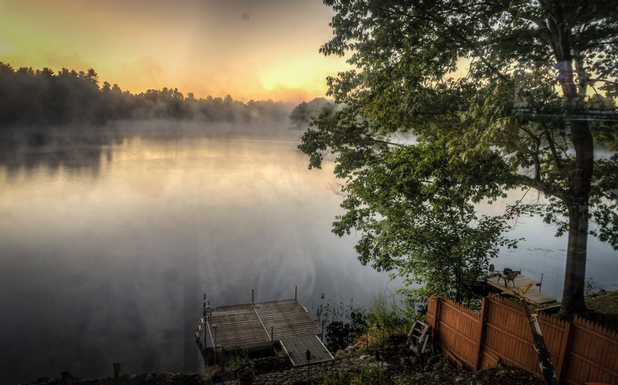 Foggy pond