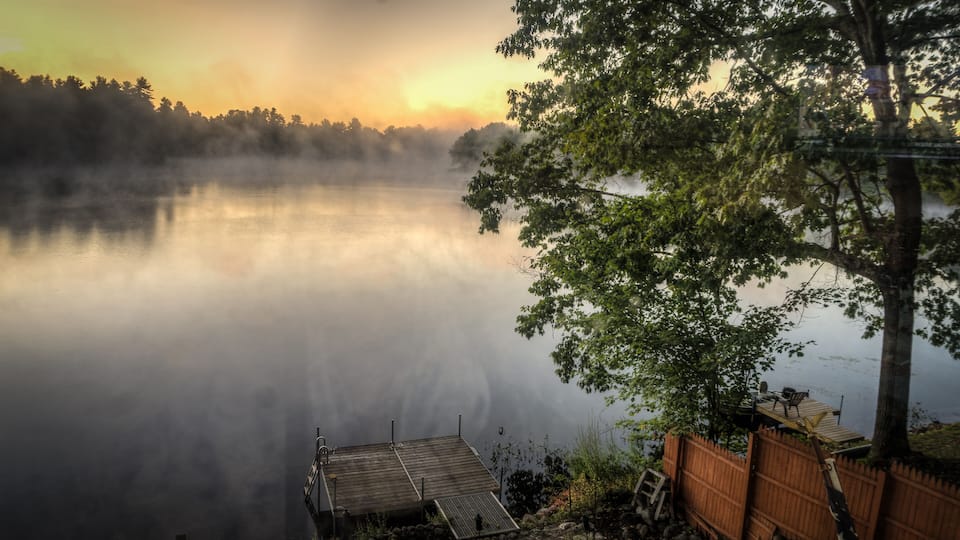 A misty lake at sunrise with a wooden dock and a tree in the foreground.