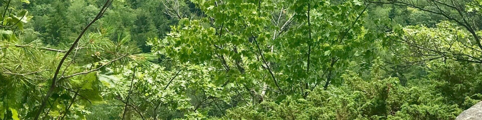 Overlooking Long Pond from Frenche's Mountain, Rome,Me. Very easy hike, less than a mile round trip, through the woods.