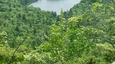 Overlooking Long Pond from Frenche's Mountain, Rome,Me. Very easy hike, less than a mile round trip, through the woods.