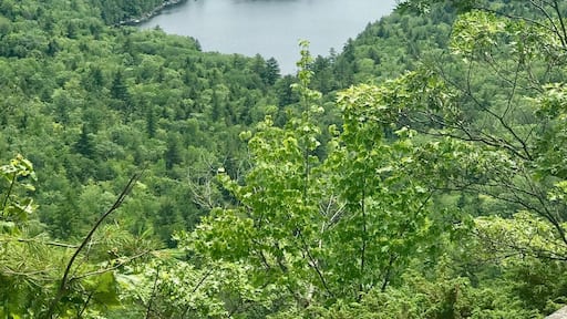Overlooking Long Pond from Frenche's Mountain, Rome,Me. Very easy hike, less than a mile round trip, through the woods.