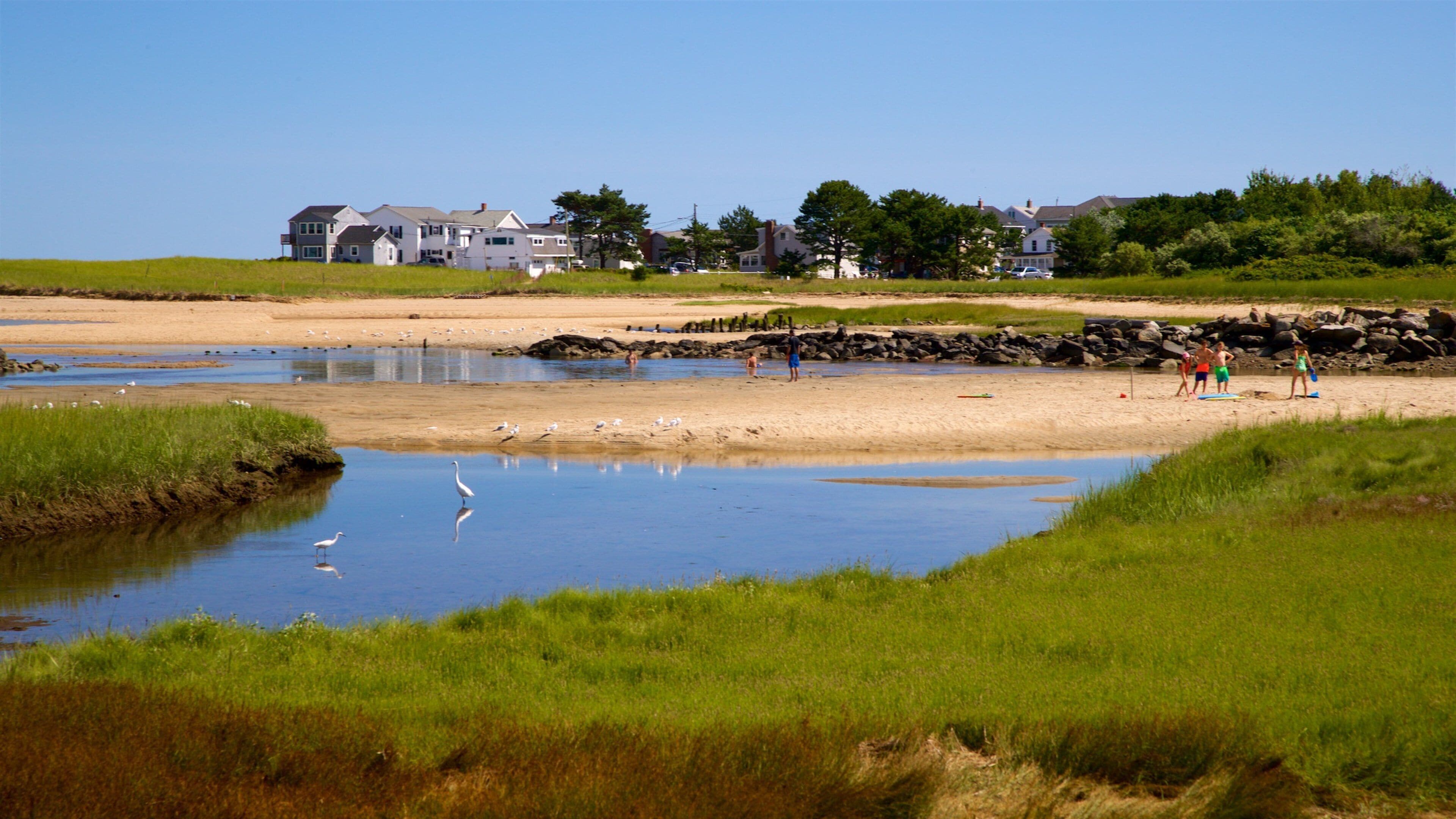 Saco showing general coastal views and a sandy beach as well as a small group of people