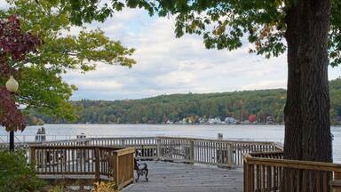 A wooden pier extending into a lake, surrounded by trees and a forested hillside.