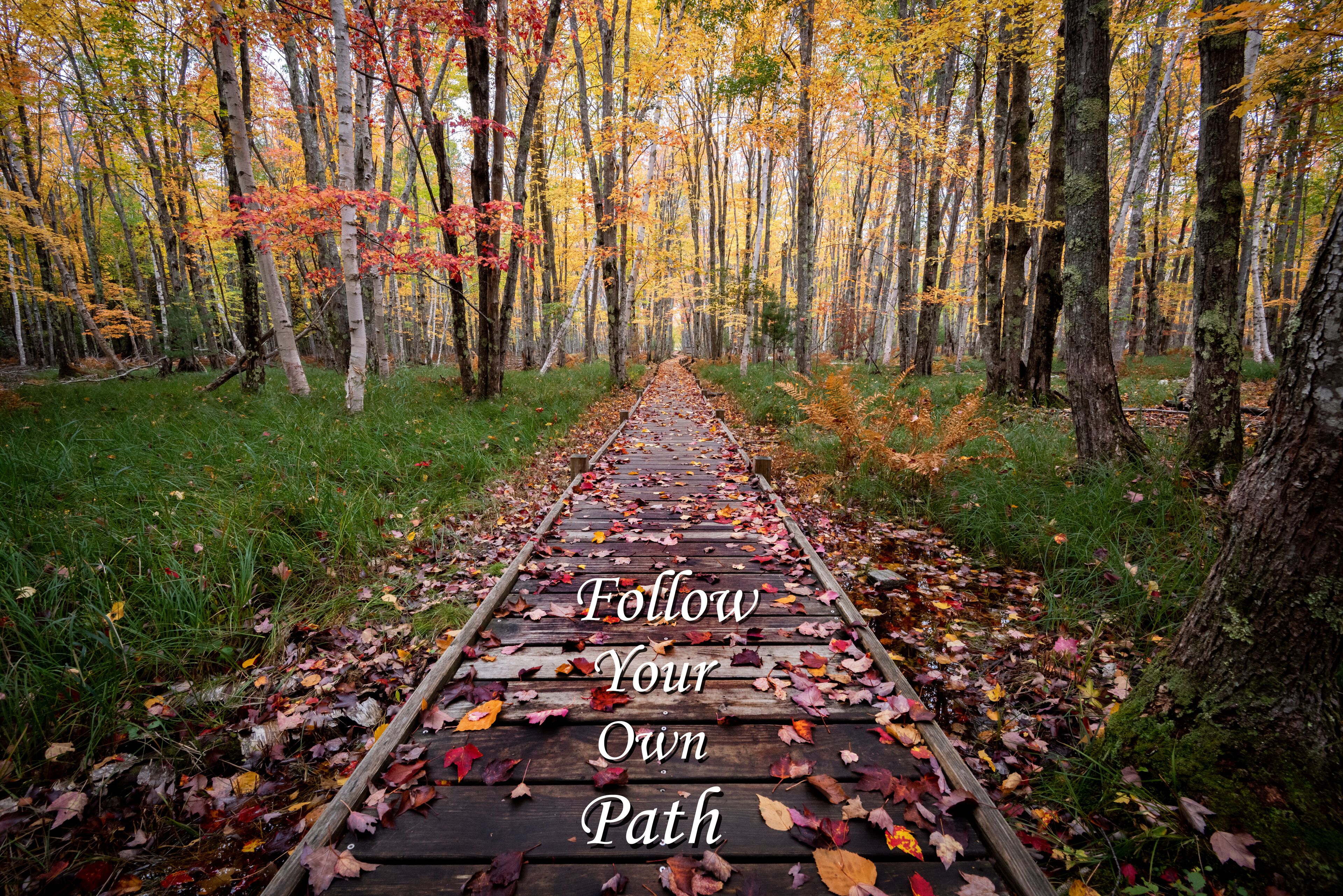 Follow Your Own Path inspirational 