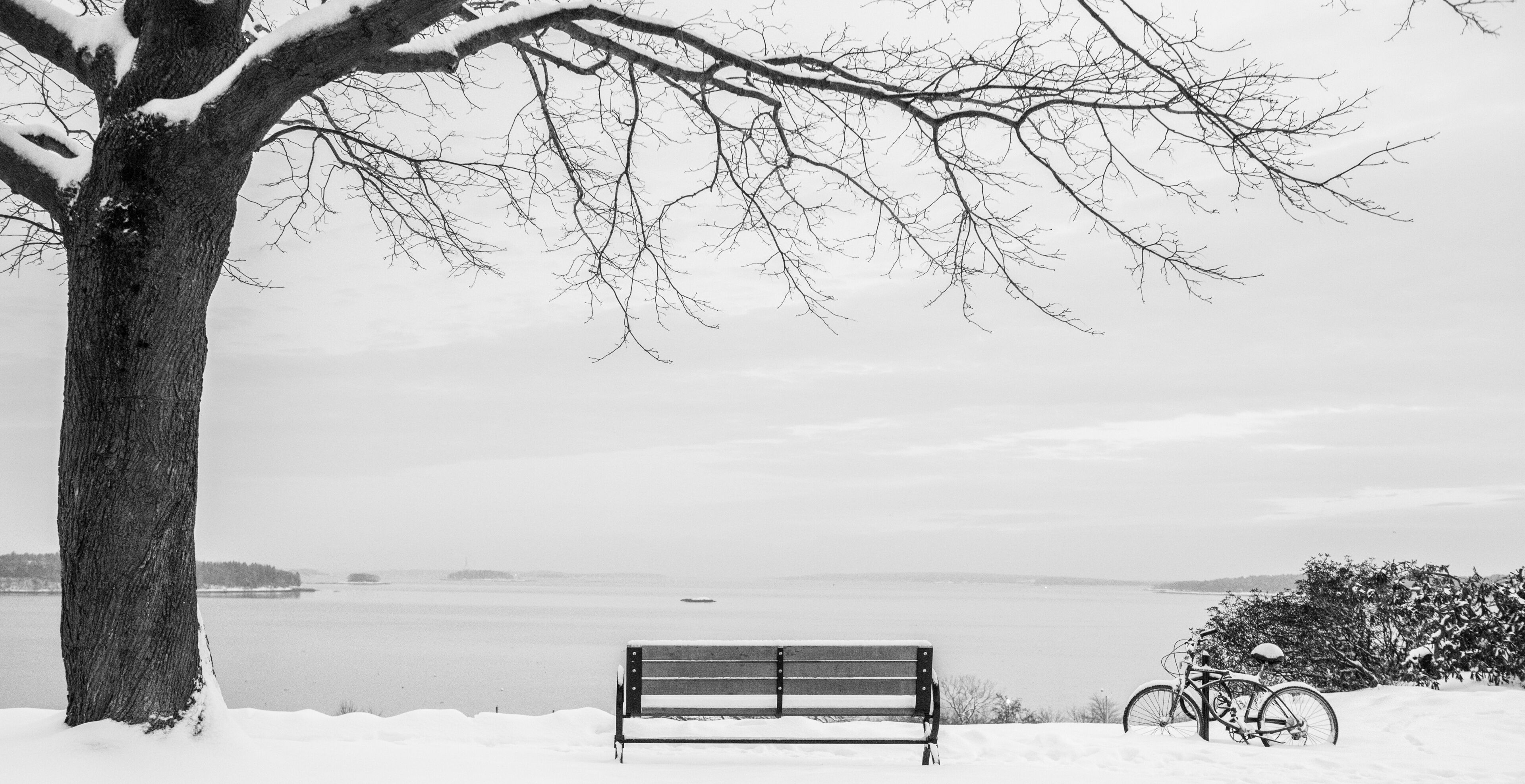 A snow-covered bench by a tree and a bicycle in a snowy landscape with a body of water in the background.