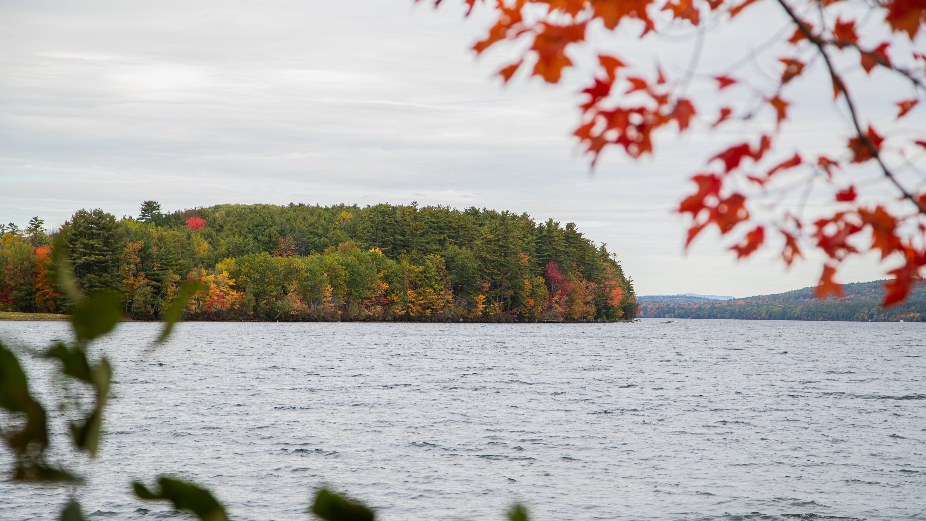 A lake with a forested island and autumn foliage.