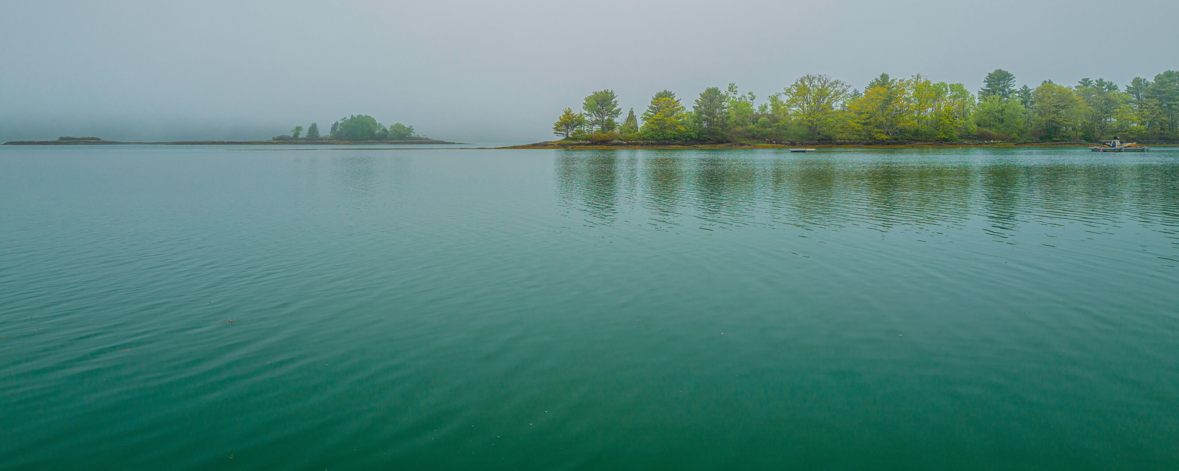 Trees and water reflections. Tranquil Maine coastal road seascape over Casco Bay on Bailey Island on a foggy morning.