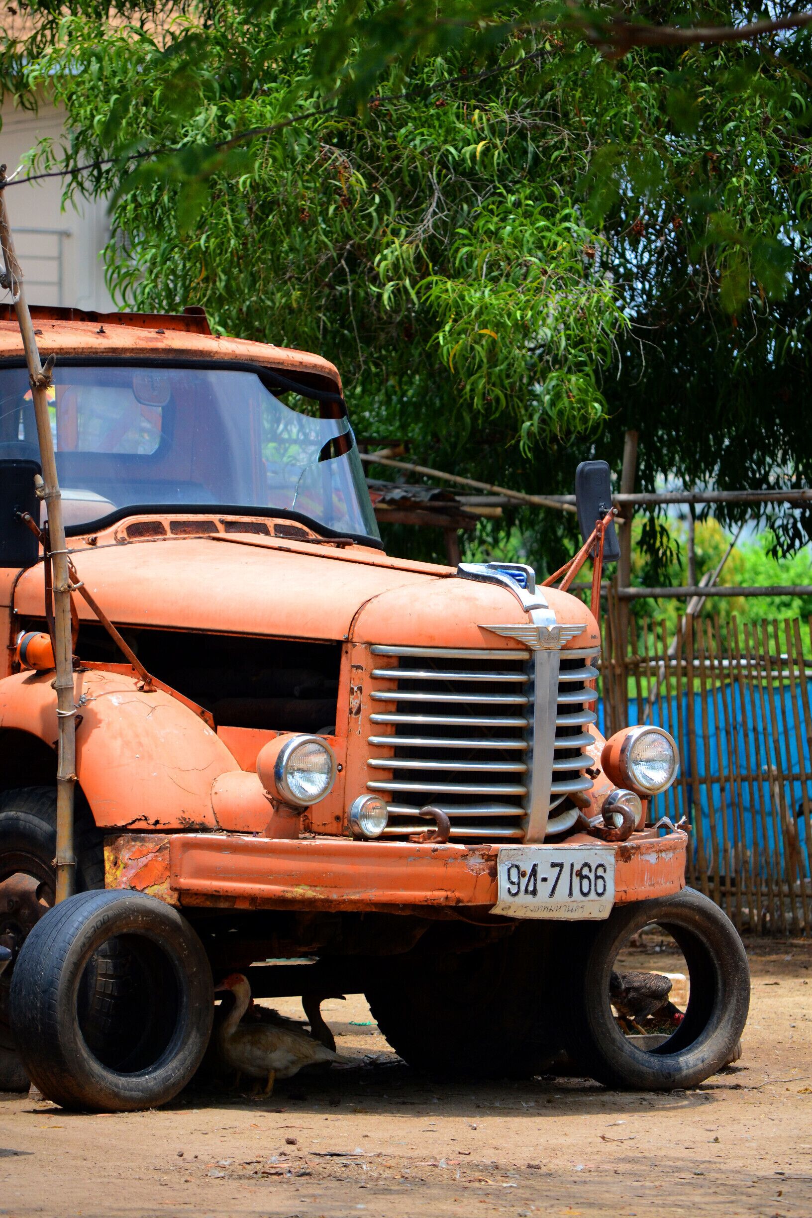 City Walk: Khon Kaen, the dinosaur city