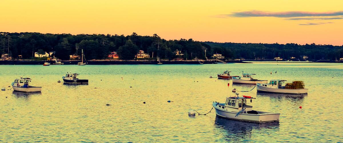 A calm harbor with several boats anchored, a forested shoreline, and a clear sky.