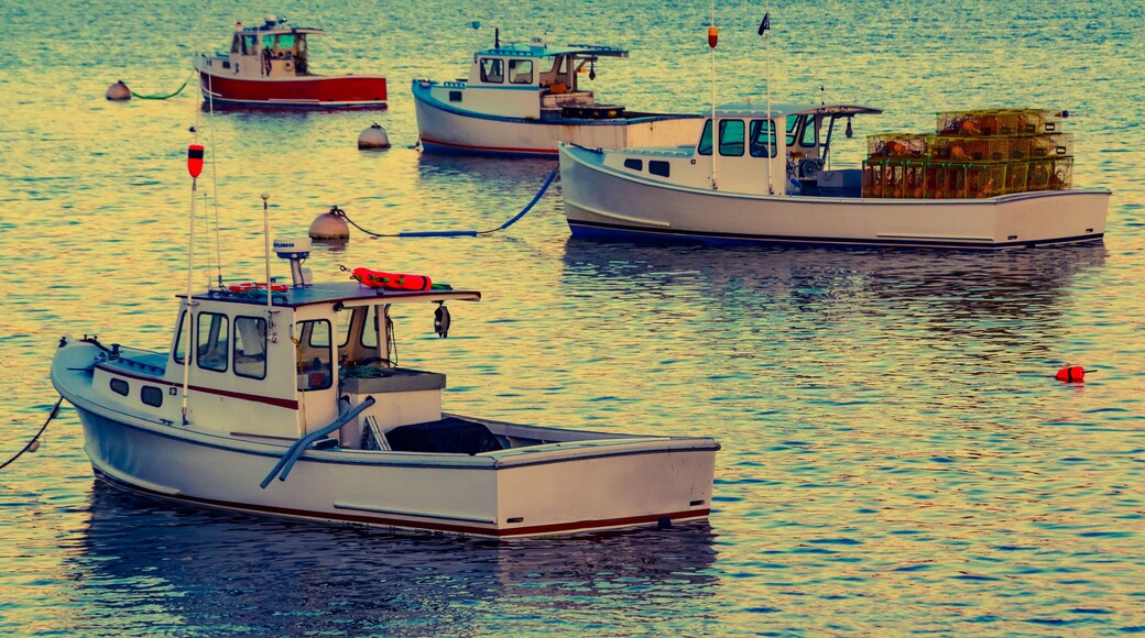 Lobster boats moored in the Sheepscot River at the Wiscasset Waterfront at sunset
