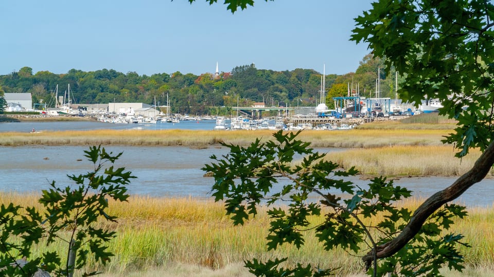 A coastal marina with boats, a lighthouse, and a forested hill in the background.