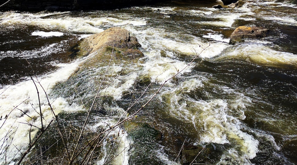 Grist mill park Yarmouth Maine. Small little picnic area