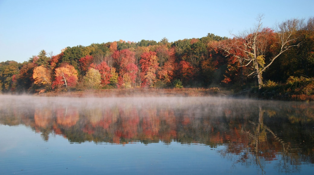 A24DTM Mist rising on the Assabet River in October.