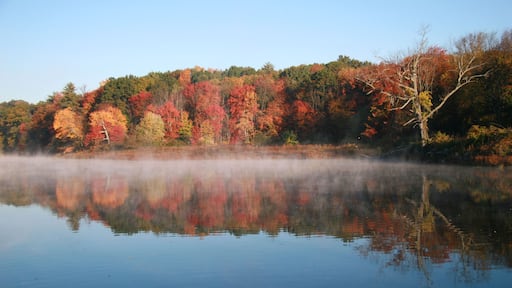 A24DTM Mist rising on the Assabet River in October.