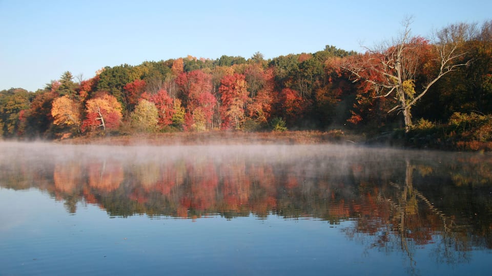 A calm lake with autumn foliage reflecting on the water's surface.